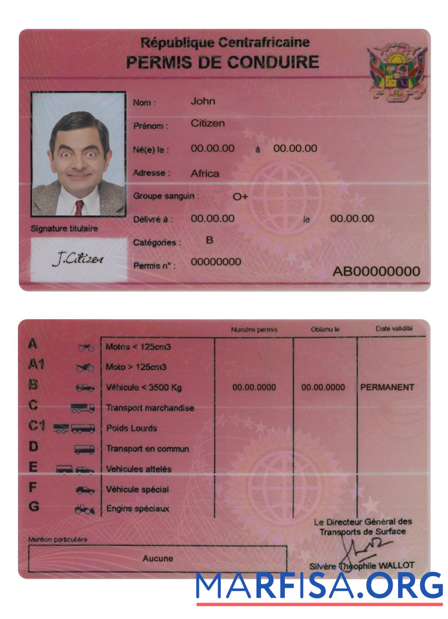 Printable Central African driving license template